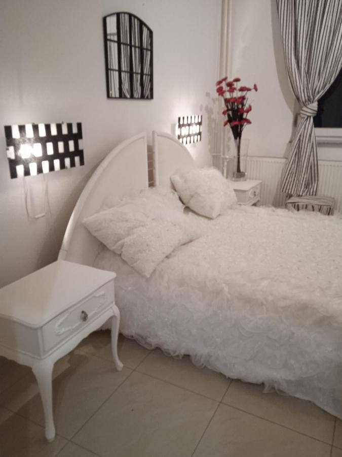 Apartment Top Centar 巴尼西卢卡 外观 照片
