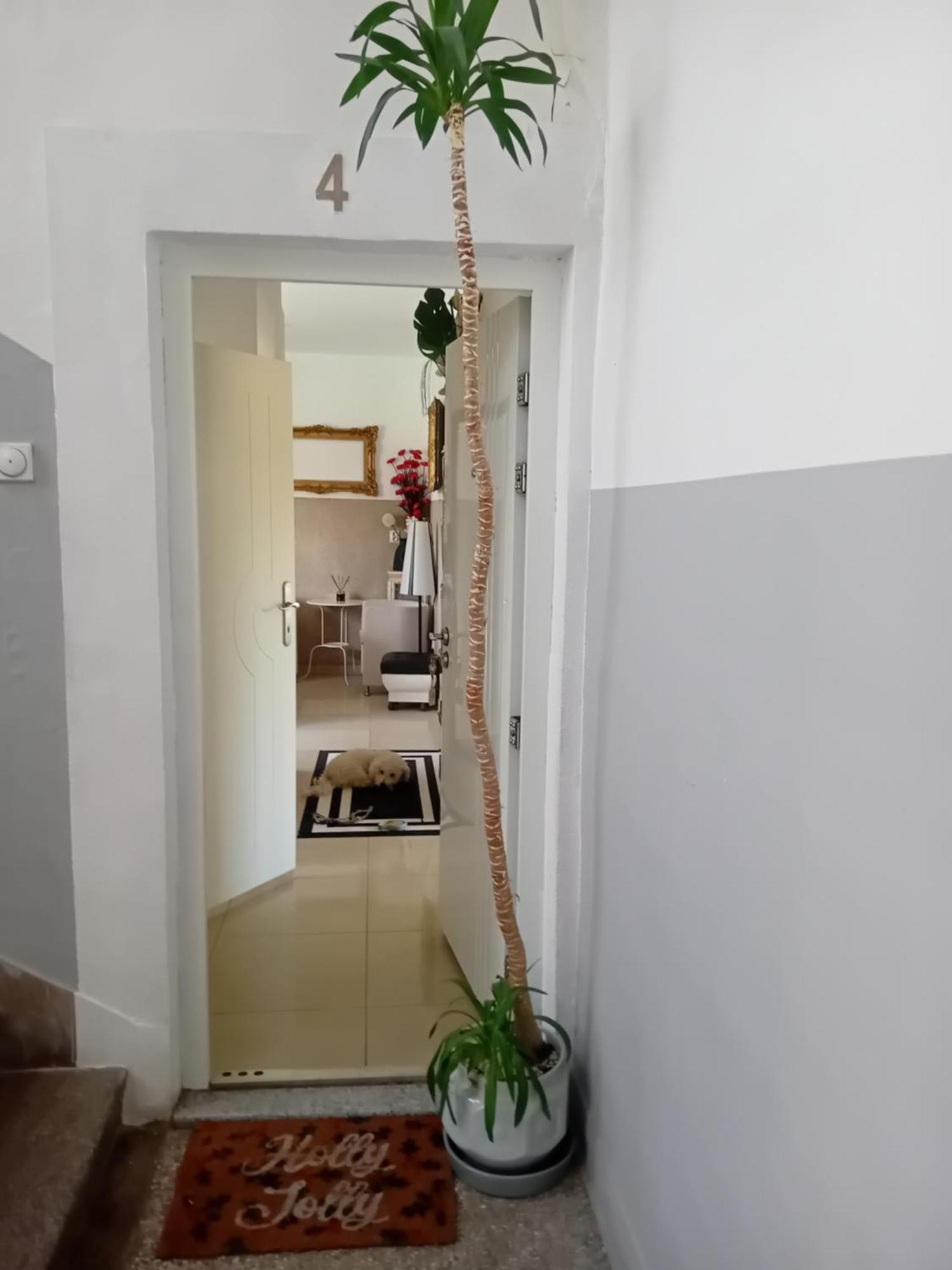 Apartment Top Centar 巴尼西卢卡 外观 照片